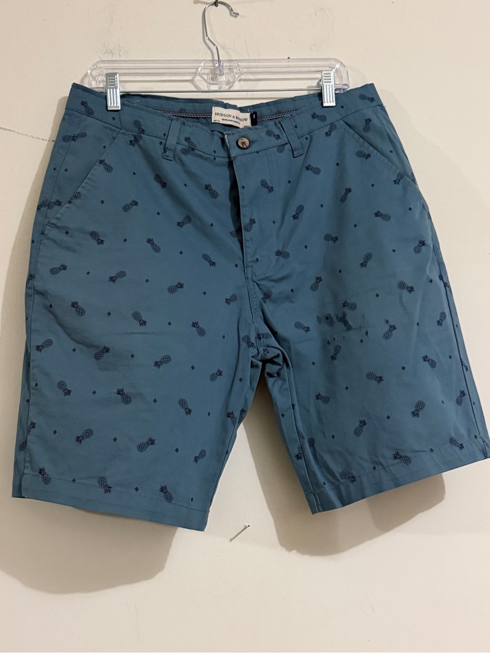 Hudson Baby Teal Pineapple-Print Men’s Shorts